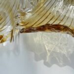 Hand-blown glass ginkgo leaf with amber speckled stripes-4